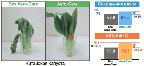 Китайская капуста