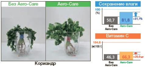 Кориандр