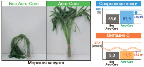 Морская капуста
