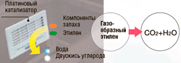 Платиновый катализатор